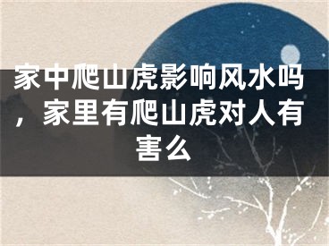 家中爬山虎影响风水吗，家里有爬山虎对人有害么