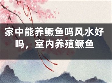家中能养鳜鱼吗风水好吗，室内养殖鳜鱼