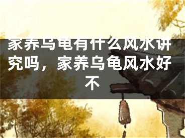 家养乌龟有什么风水讲究吗，家养乌龟风水好不