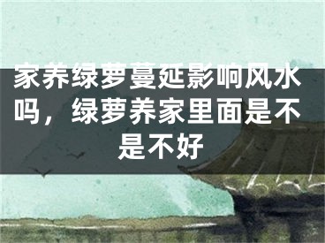 家养绿萝蔓延影响风水吗，绿萝养家里面是不是不好