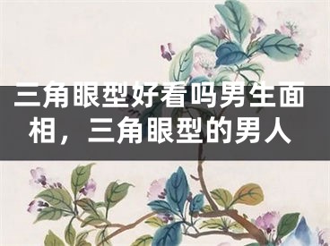 三角眼型好看吗男生面相,三角眼型的男人