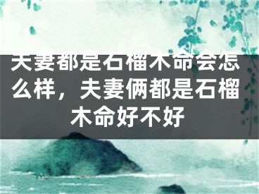 夫妻都是石榴木命会怎么样,夫妻俩都是石榴木命好不好