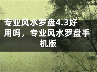 专业风水罗盘4.3好用吗,专业风水罗盘手机版