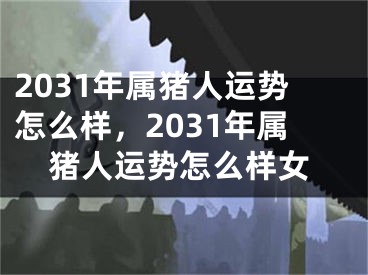 2031年属猪人运势怎么样，2031年属猪人运势怎么样女