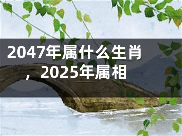 2047年属什么生肖，2025年属相