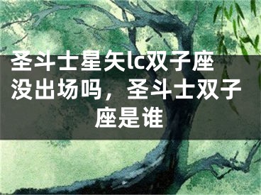 圣斗士星矢lc双子座没出场吗，圣斗士双子座是谁