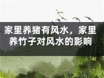 家里养猪有风水，家里养竹子对风水的影响