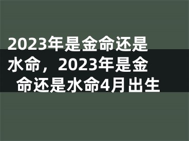 2023年是金命还是水命,2023年是金命还是水命4月出生