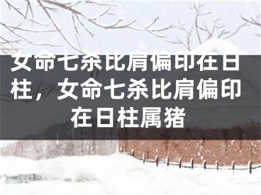 女命七杀比肩偏印在日柱，女命七杀比肩偏印在日柱属猪