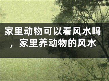 家里动物可以看风水吗，家里养动物的风水