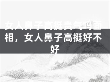 女人鼻子高挺贵气吗面相，女人鼻子高挺好不好