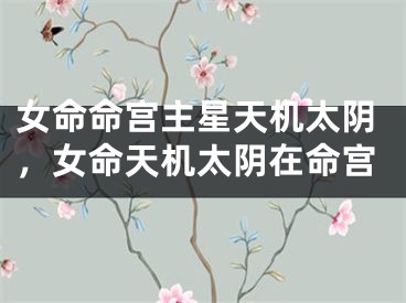 女命命宫主星天机太阴，女命天机太阴在命宫