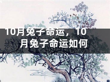 10月兔子命运，10月兔子命运如何