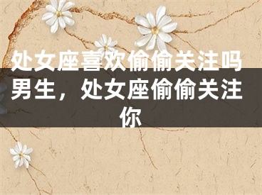 处女座喜欢偷偷关注吗男生，处女座偷偷关注你