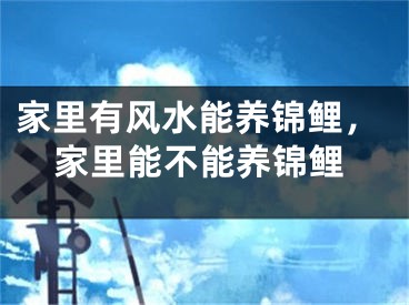 家里有风水能养锦鲤，家里能不能养锦鲤