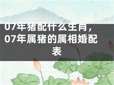 07年猪配什么生肖，07年属猪的属相婚配表