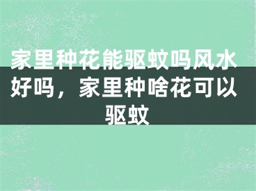 家里种花能驱蚊吗风水好吗，家里种啥花可以驱蚊