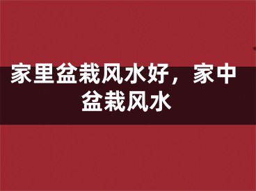 家里盆栽风水好，家中盆栽风水