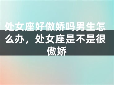 处女座好傲娇吗男生怎么办,处女座是不是很傲娇