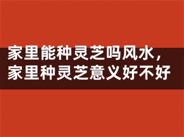 家里能种灵芝吗风水，家里种灵芝意义好不好