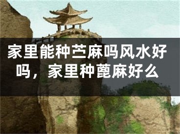 家里能种苎麻吗风水好吗，家里种蓖麻好么