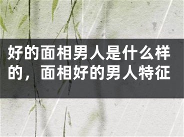 好的面相男人是什么样的,面相好的男人特征