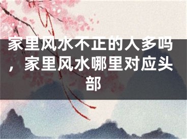 家里风水不正的人多吗，家里风水哪里对应头部