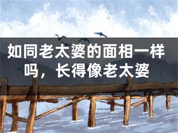 如同老太婆的面相一样吗，长得像老太婆