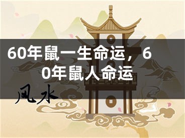 60年鼠一生命运，60年鼠人命运