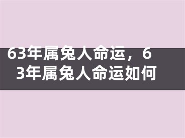 63年属兔人命运,63年属兔人命运如何