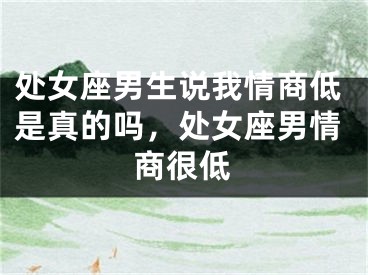 处女座男生说我情商低是真的吗，处女座男情商很低