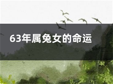 63年属兔女的命运