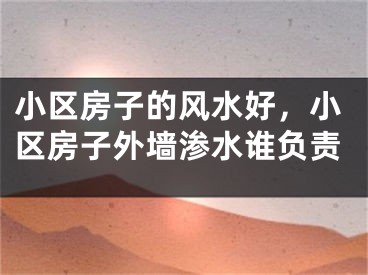 小区房子的风水好，小区房子外墙渗水谁负责