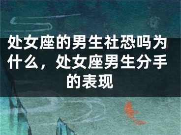 处女座的男生社恐吗为什么,处女座男生分手的表现