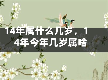 14年属什么几岁，14年今年几岁属啥