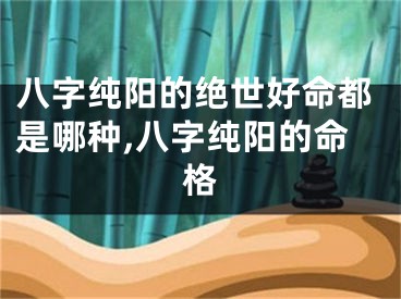 八字纯阳的绝世好命都是哪种,八字纯阳的命格