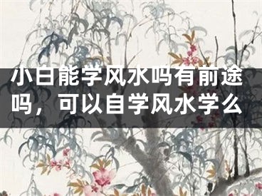 小白能学风水吗有前途吗，可以自学风水学么
