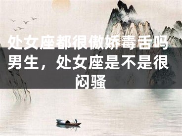 处女座都很傲娇毒舌吗男生,处女座是不是很闷骚
