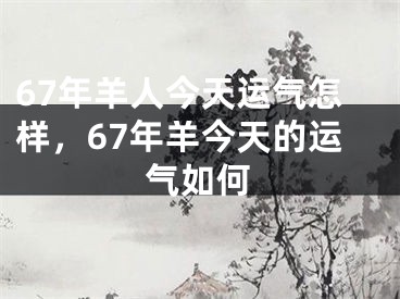 67年羊人今天运气怎样，67年羊今天的运气如何