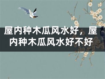 屋内种木瓜风水好，屋内种木瓜风水好不好