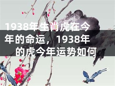 1938年生肖虎在今年的命运，1938年的虎今年运势如何