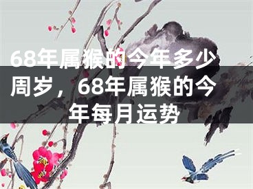 68年属猴的今年多少周岁，68年属猴的今年每月运势