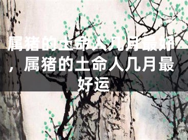 属猪的土命人几月最好，属猪的土命人几月最好运