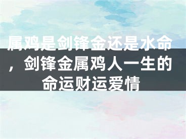 属鸡是剑锋金还是水命，剑锋金属鸡人一生的命运财运爱情