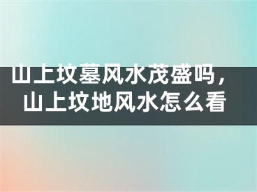 山上坟墓风水茂盛吗，山上坟地风水怎么看