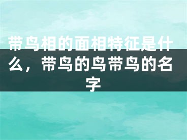 带鸟相的面相特征是什么，带鸟的鸟带鸟的名字