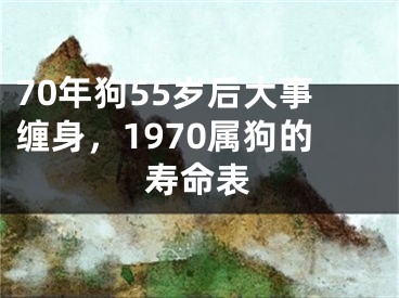 70年狗55岁后大事缠身，1970属狗的寿命表