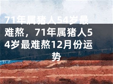71年属猪人54岁最难熬，71年属猪人54岁最难熬12月份运势