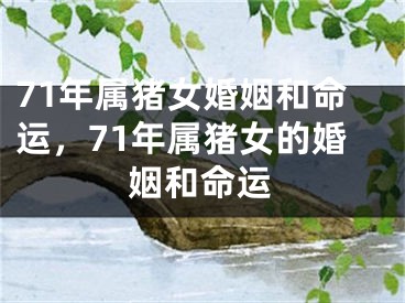 71年属猪女婚姻和命运，71年属猪女的婚姻和命运