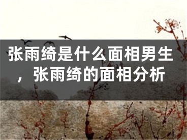 张雨绮是什么面相男生，张雨绮的面相分析